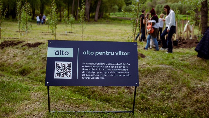 Alto pentru viitor – proiectul maib alto asociat cu tinerețea, puritatea și prosperitatea