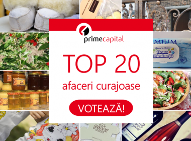 Top 20 afaceri curajoase ale moldovenilor care au lucrat peste hotare, au revenit în țară și au lansat o afacere acasă