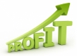 Spune-mi ce profit ai ca să-ţi spun ce bancă eşti. Profit versus stabilitate!