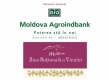 Moldova Agroindbank, cea mai bună bancă a anului 2013, este partenerul general al Zilei Naționale a Vinului