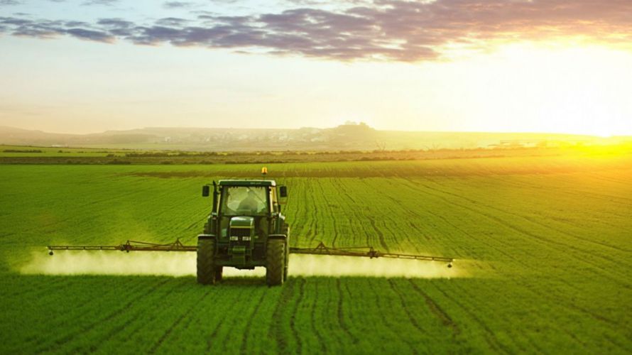 Moldova a obținut o recoltă mai mare de grâu și orz în 2025, în timp ce producția de carne a scăzut