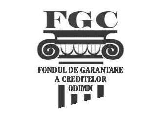 (video) Fondul de Garantare a Creditelor – mecanism ce facilitează obținerea unui credit bancar pentru afacerea ta