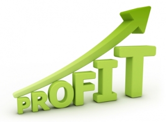 Spune-mi ce profit ai ca să-ţi spun ce bancă eşti. Profit versus stabilitate!