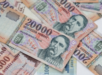 Ungaria: Numerarul deținut de populație este în creștere cu 11%, cauza – comisioanele pe tranzacții bancare și alte taxe